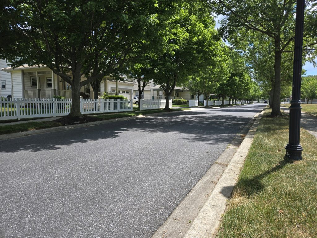 Mature tree lined Streets in Paynter's Mill Delaware